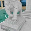 泸州 白麻花岗岩动物异形石雕-大象