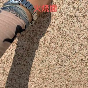 泸州黄金麻火烧面