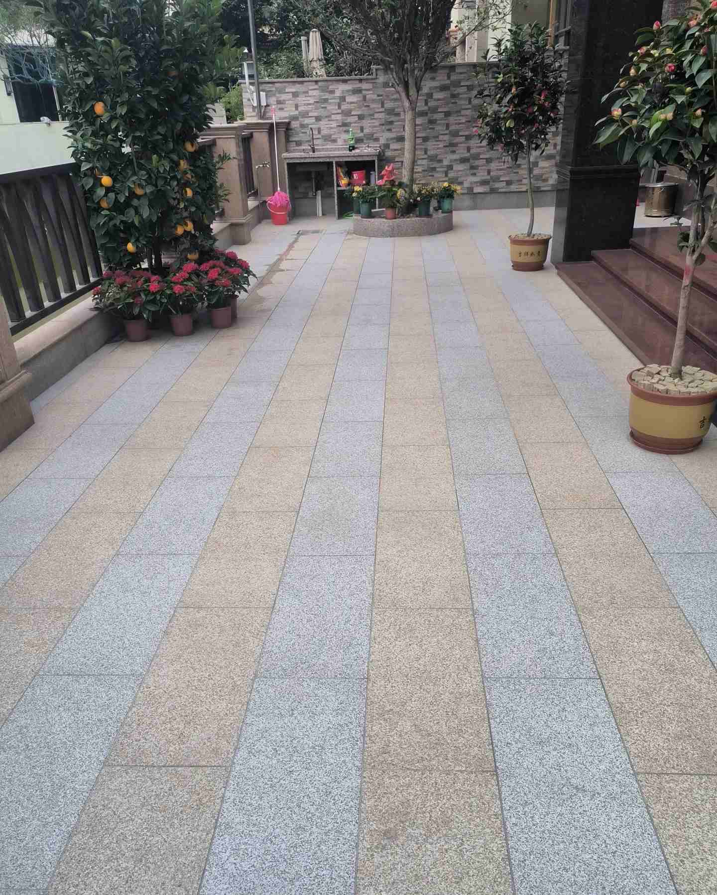 泸州 黄金麻白麻荔枝面庭院铺装展示