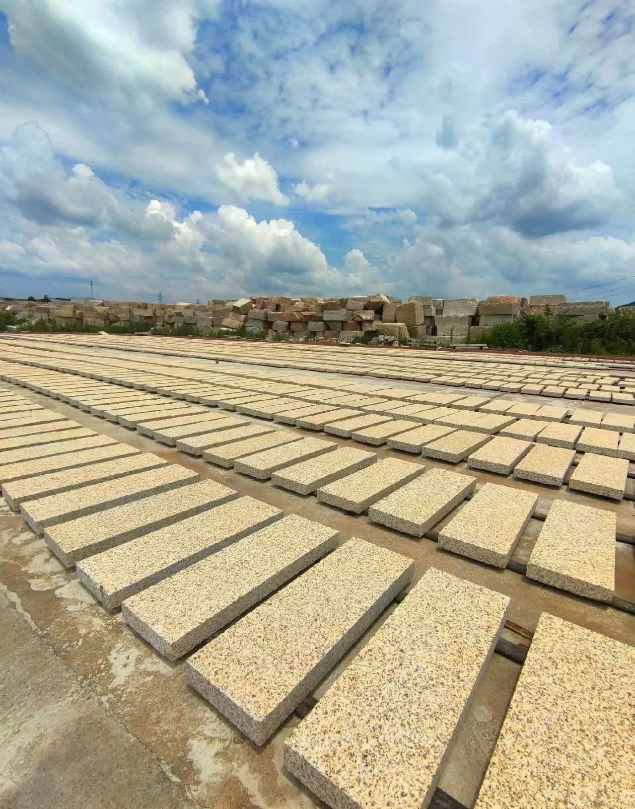 泸州 黄金麻荔枝面花岗岩石材地铺石防护中